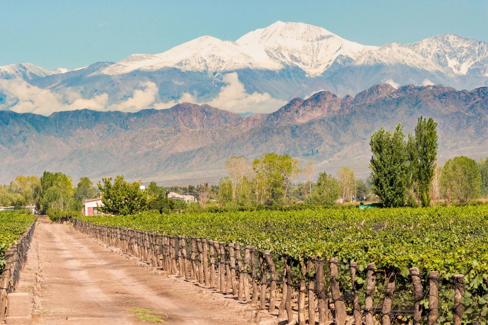 Mendoza-paquetes